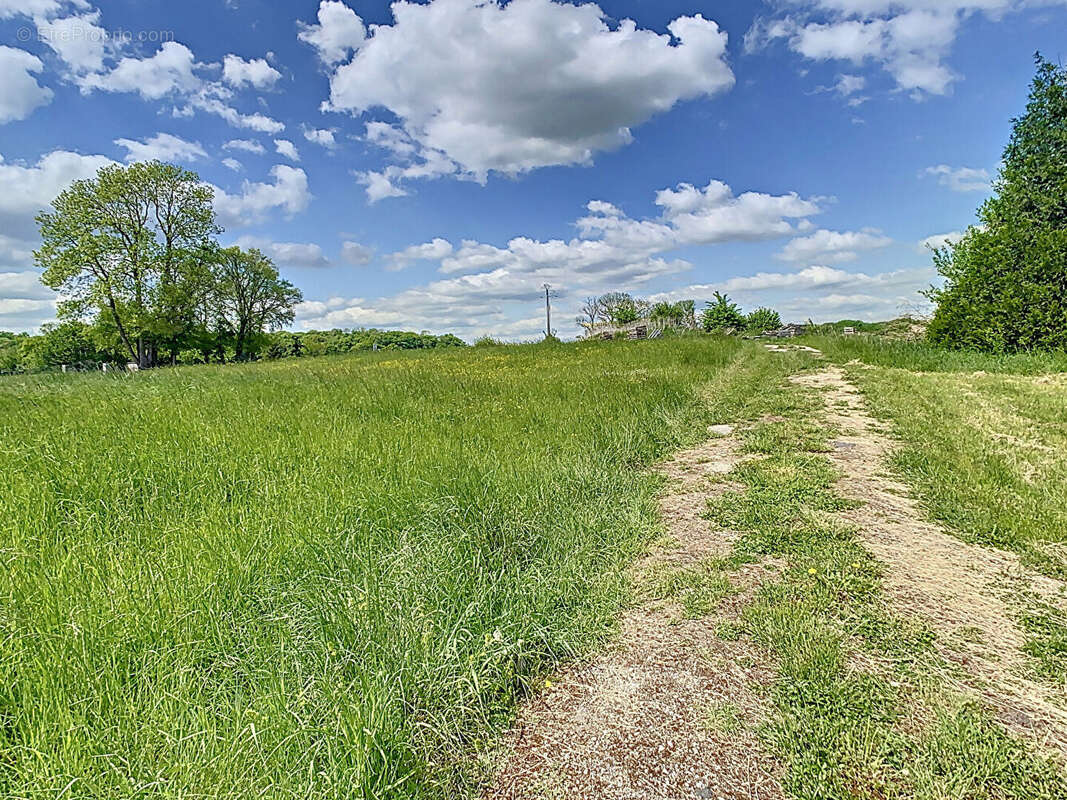Commerce à VAL-DE-MEUSE