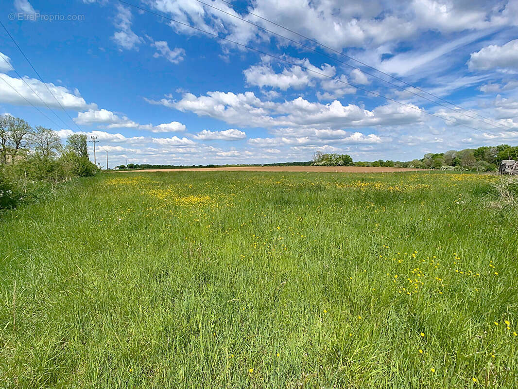 Commerce à VAL-DE-MEUSE