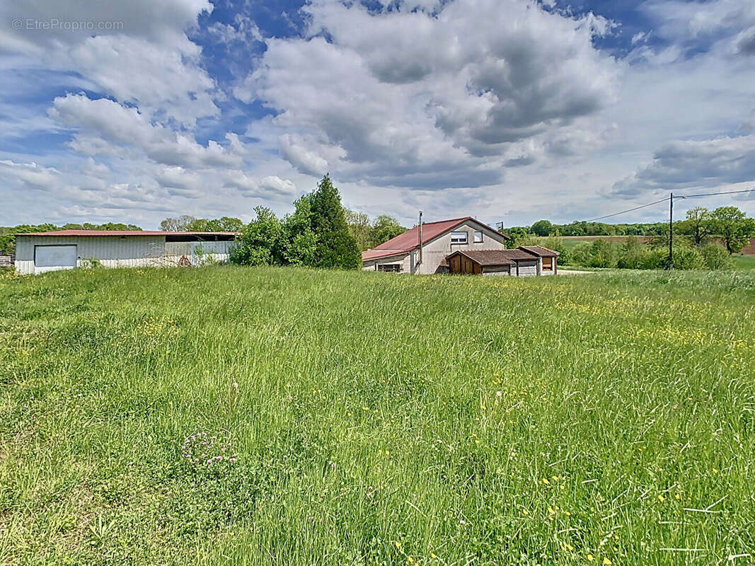 Commerce à VAL-DE-MEUSE