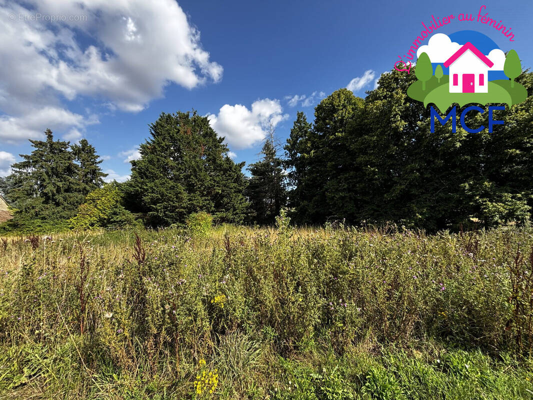 Terrain à CHAUFOUR-LES-BONNIERES