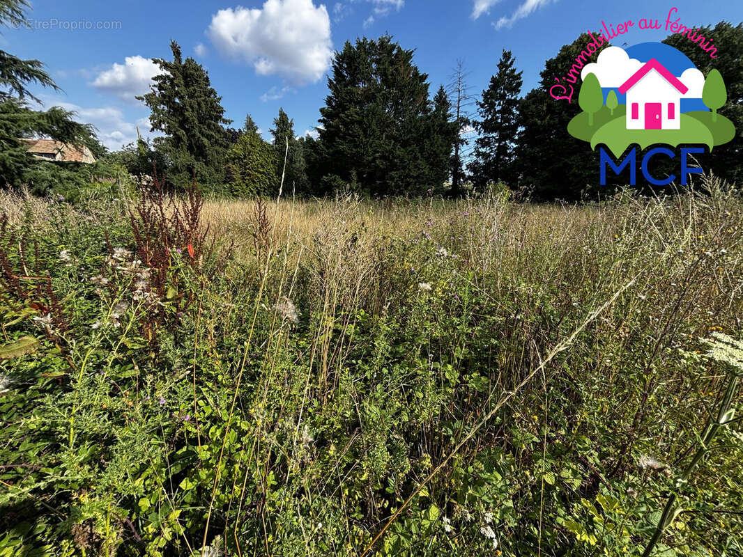 Terrain à CHAUFOUR-LES-BONNIERES