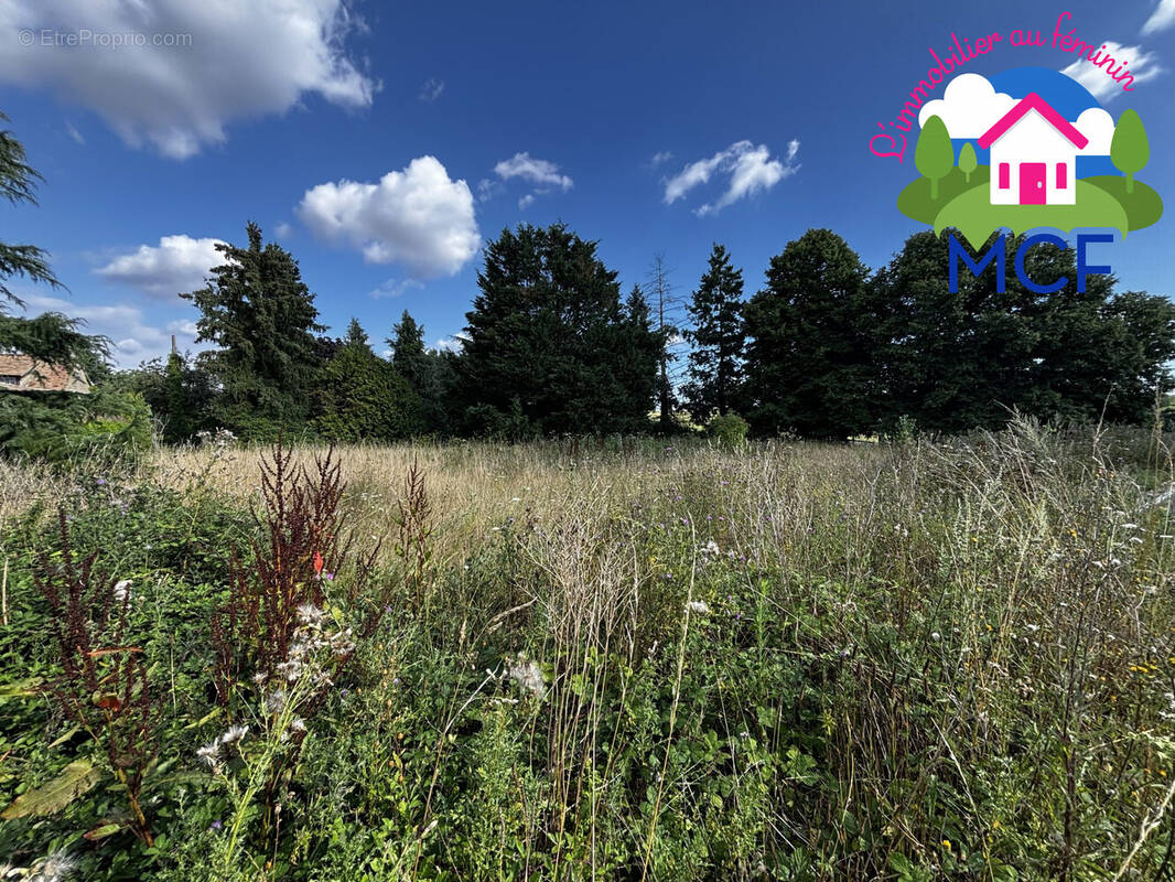 Terrain à CHAUFOUR-LES-BONNIERES