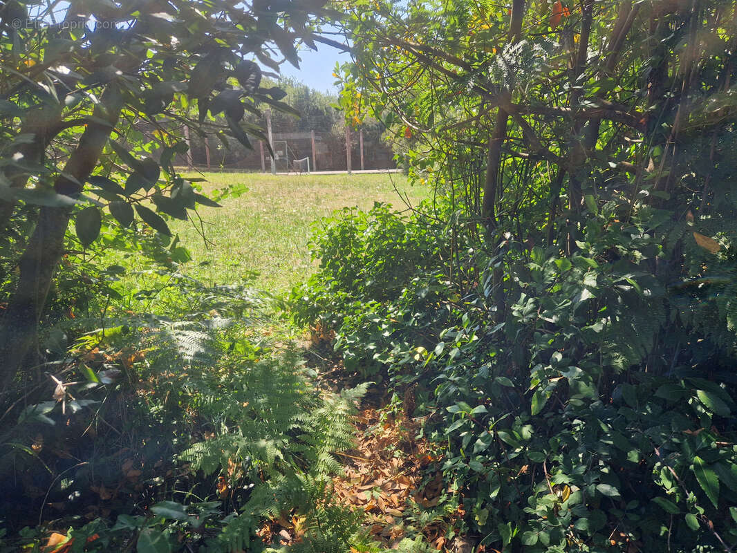 Terrain à L&#039;ILE-D&#039;YEU