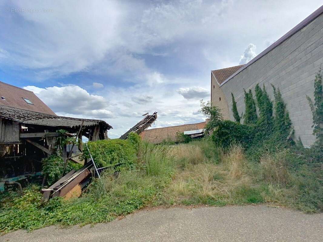 Terrain à OSTHOFFEN