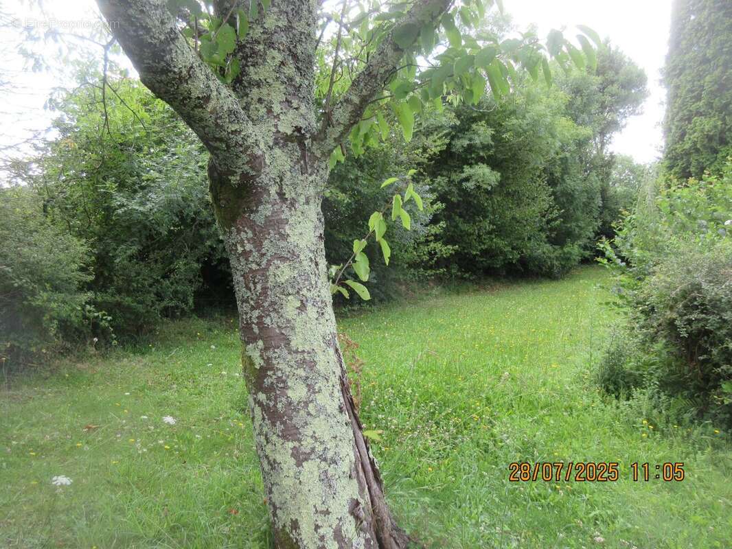 Maison à FAY-DE-BRETAGNE