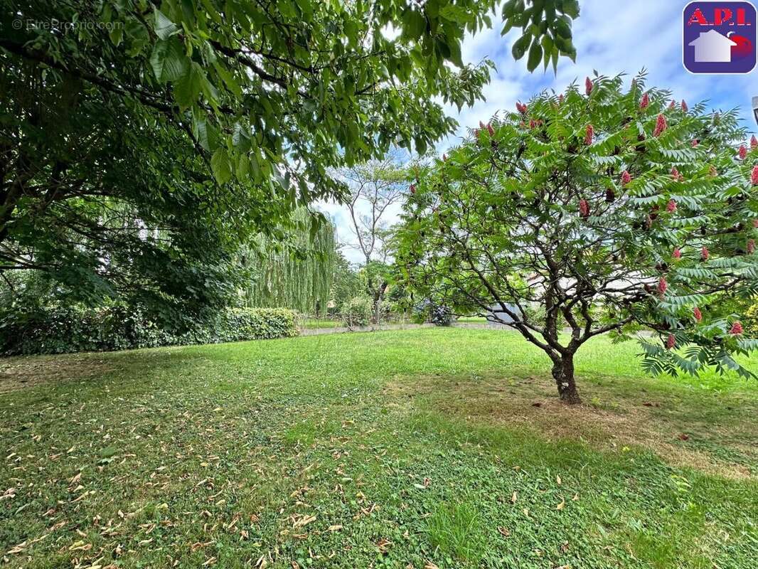 Maison à SAINT-GIRONS