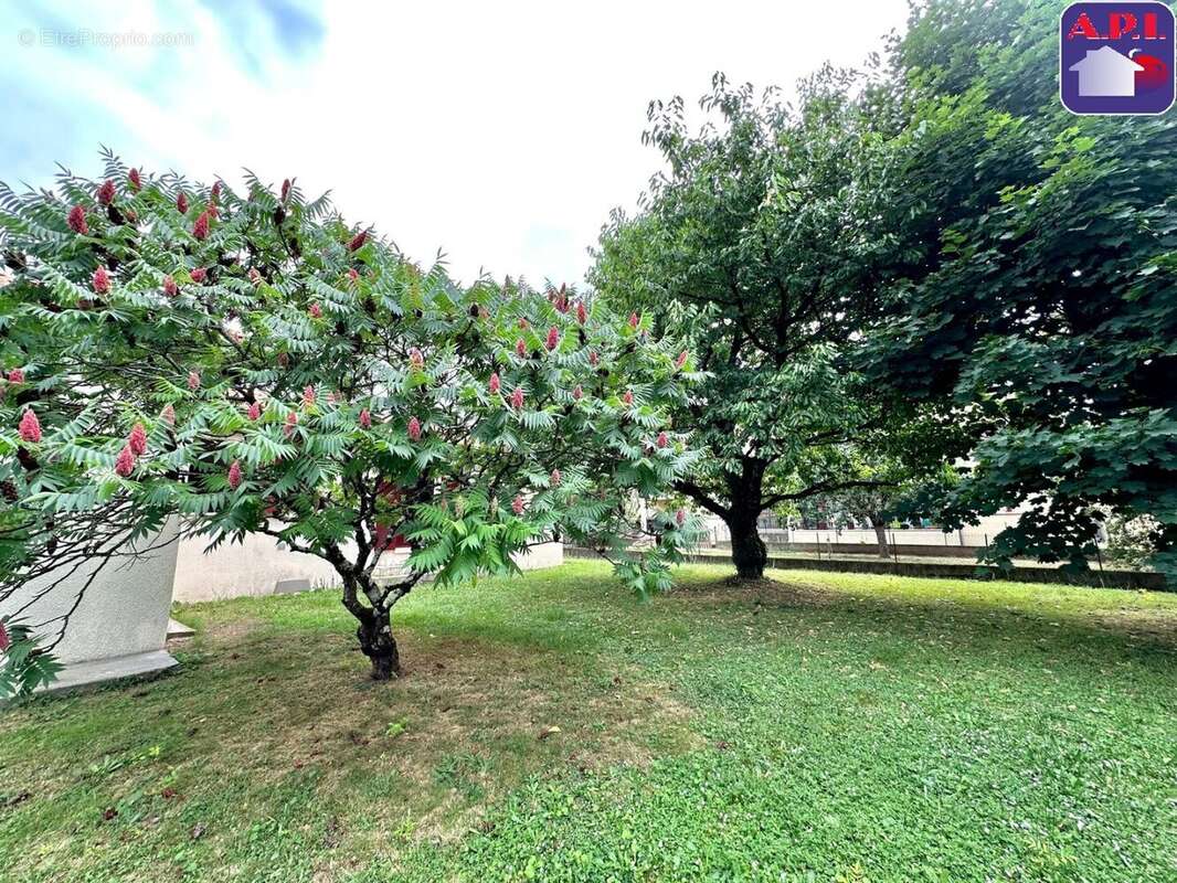 Maison à SAINT-GIRONS