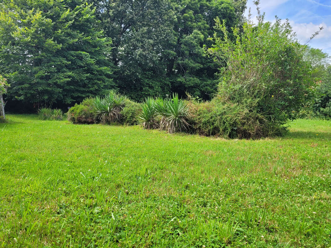 Maison à CHATEAU-CHERVIX