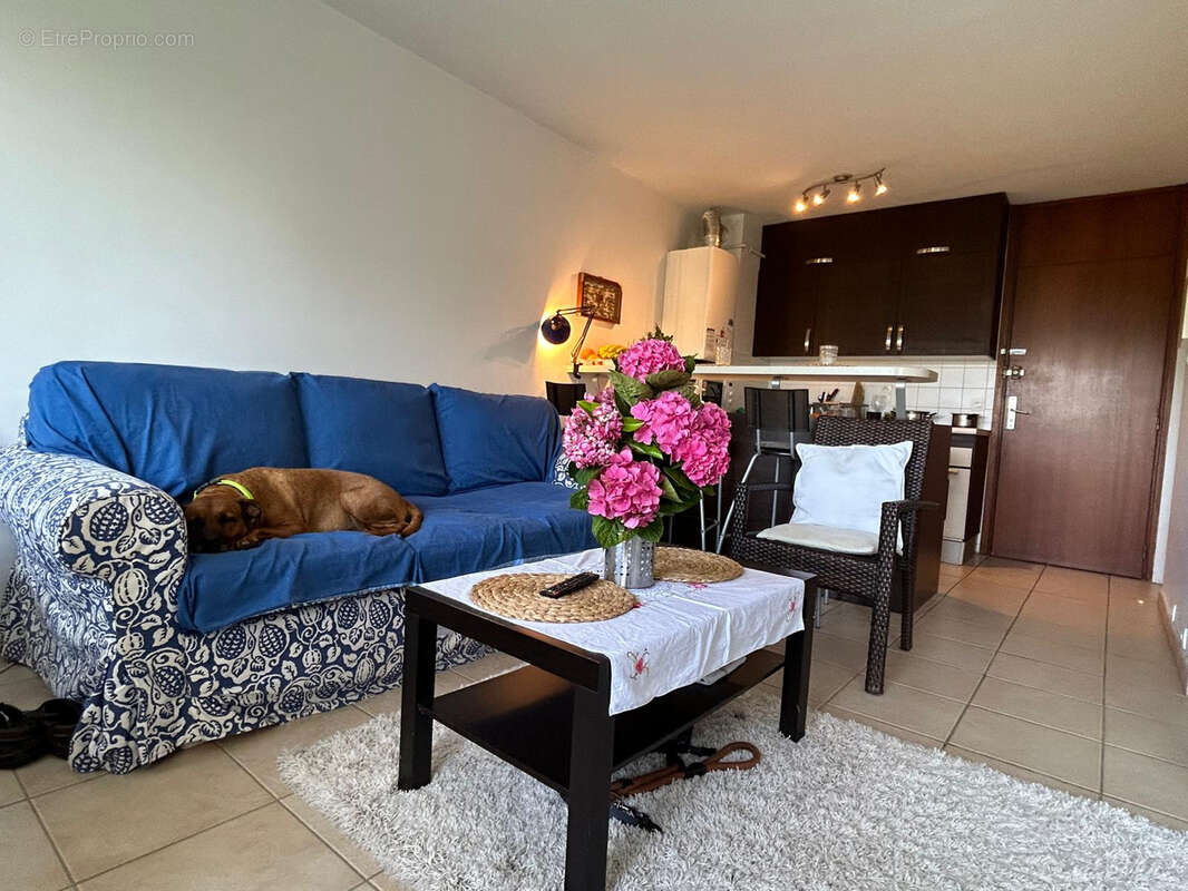 Appartement à HENDAYE