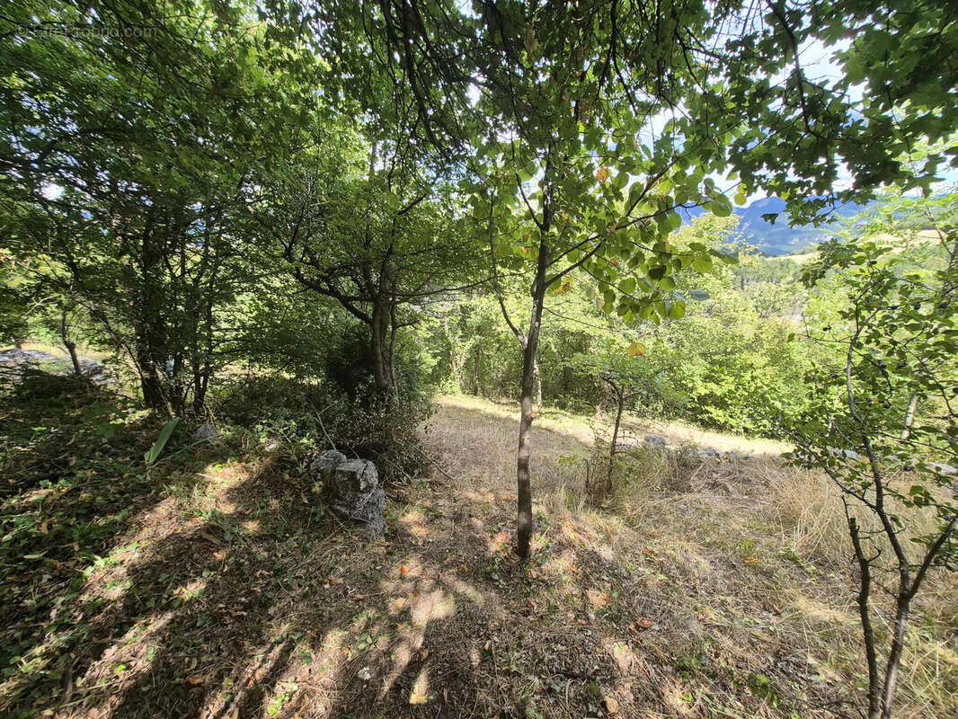 Maison à RECOUBEAU-JANSAC