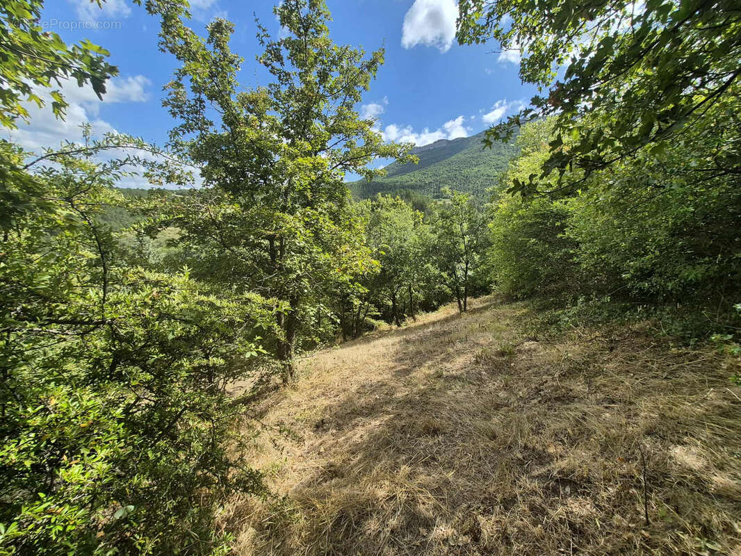 Maison à RECOUBEAU-JANSAC