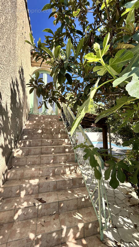 Maison à MURVIEL-LES-MONTPELLIER