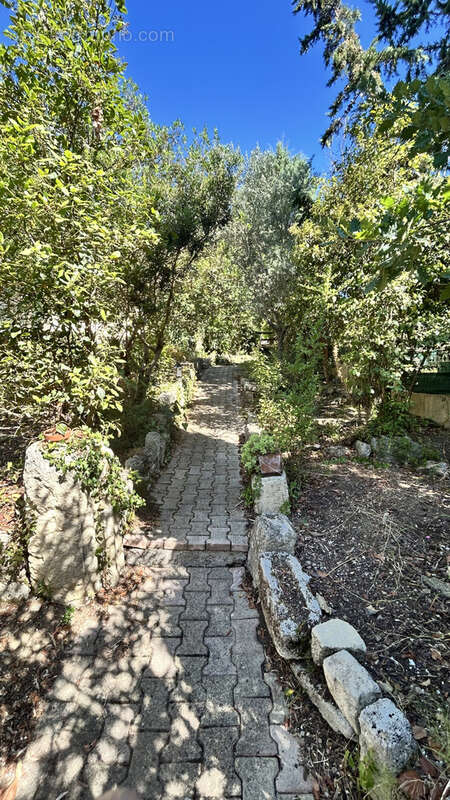 Maison à MURVIEL-LES-MONTPELLIER