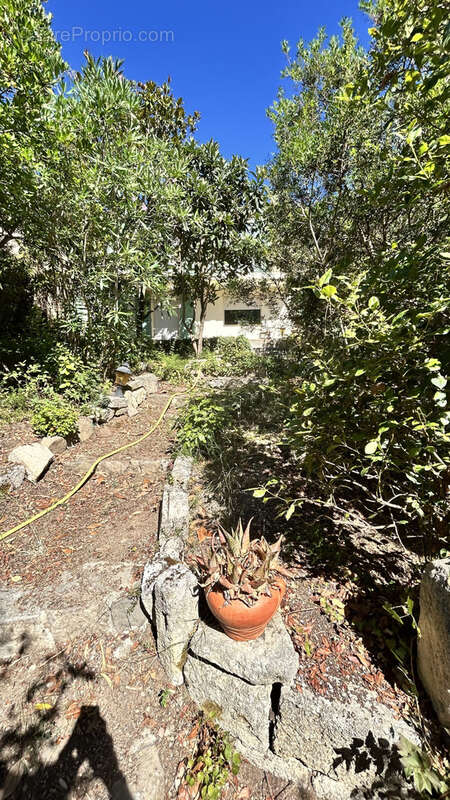 Maison à MURVIEL-LES-MONTPELLIER