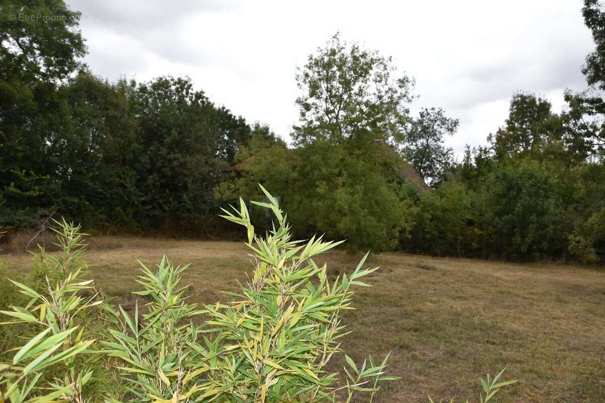 Terrain à L&#039;ISLE-JOURDAIN