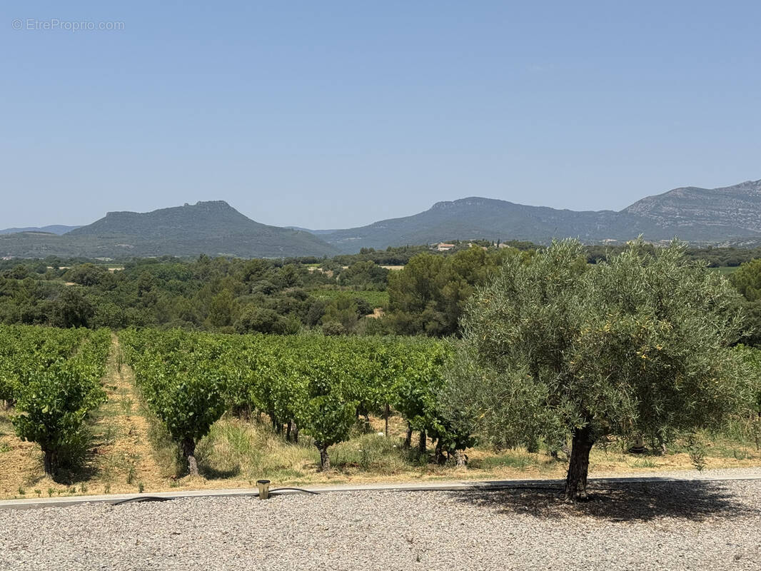 Maison à MONTPEYROUX