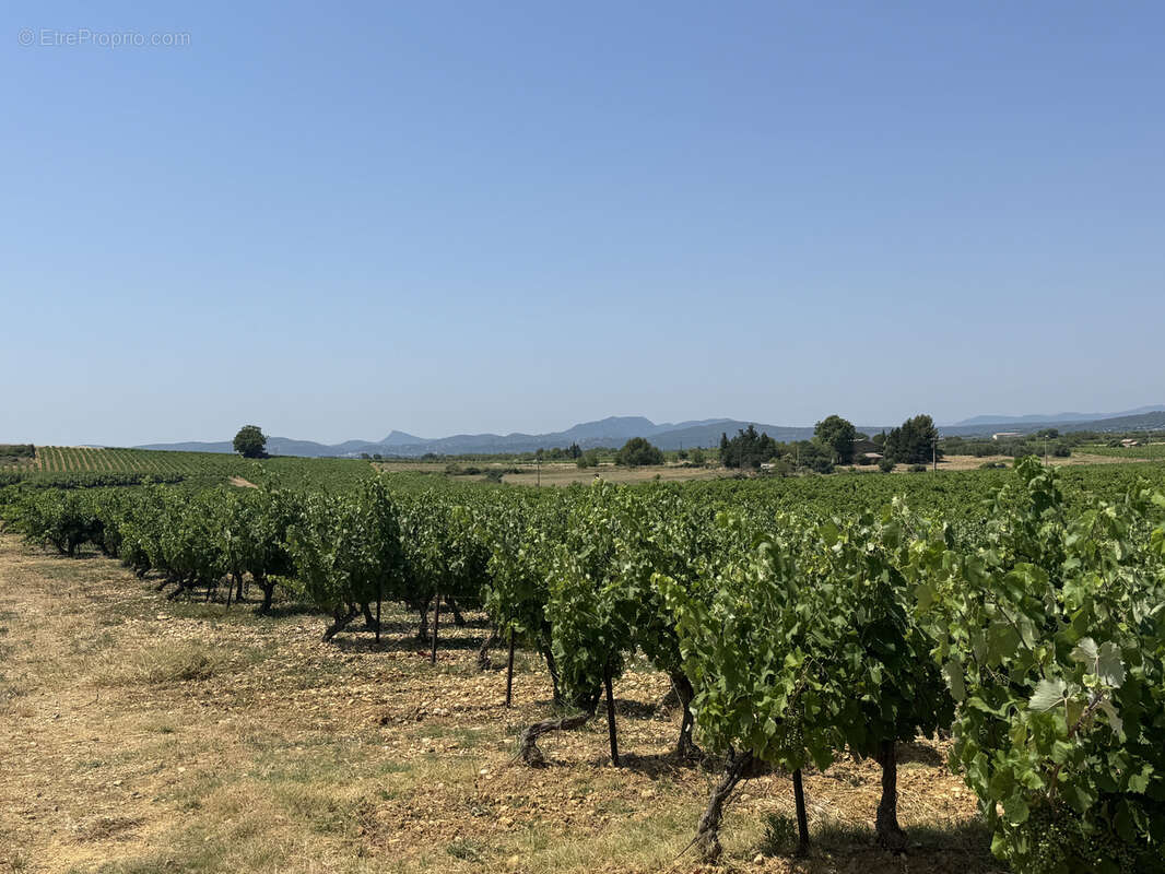 Maison à MONTPEYROUX