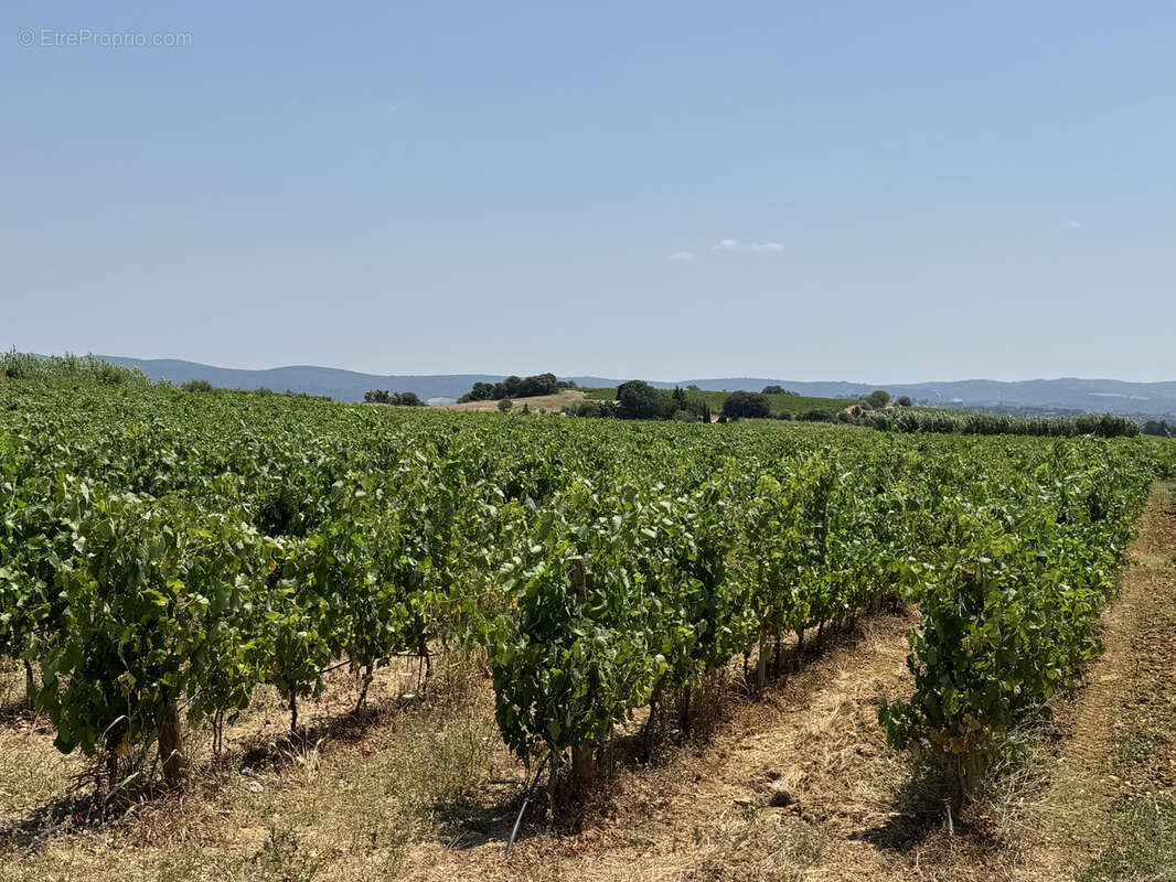 Maison à MONTPEYROUX