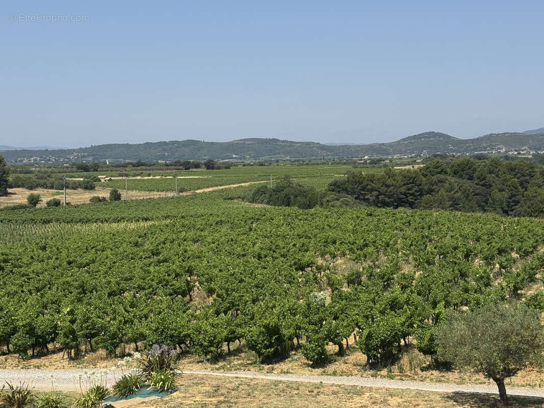 Maison à MONTPEYROUX