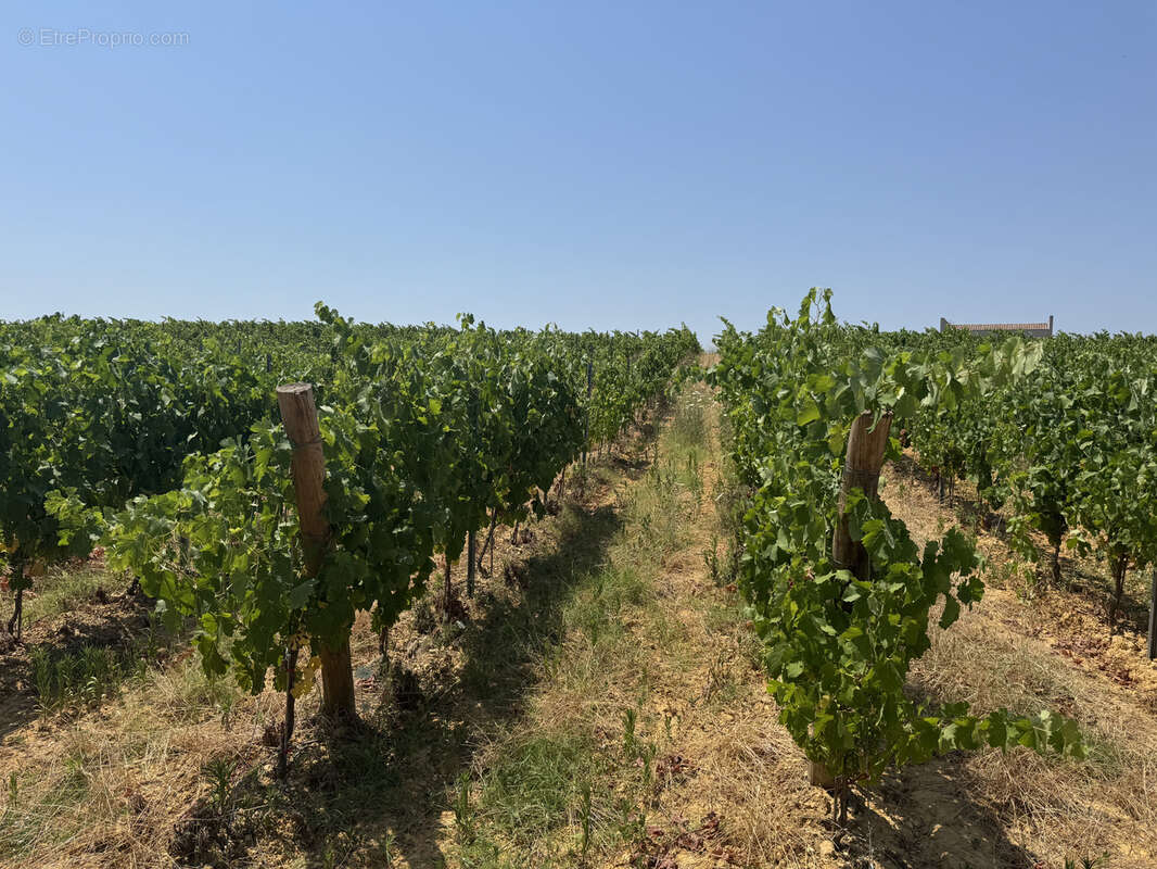 Maison à MONTPEYROUX