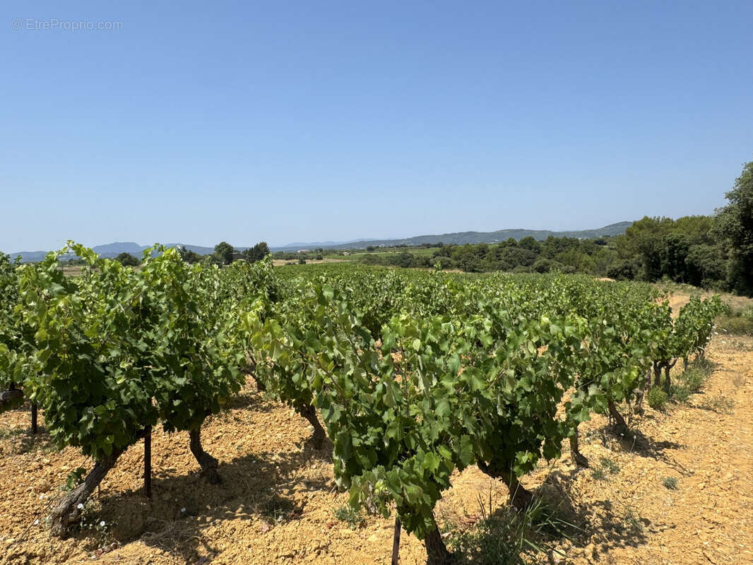 Maison à MONTPEYROUX