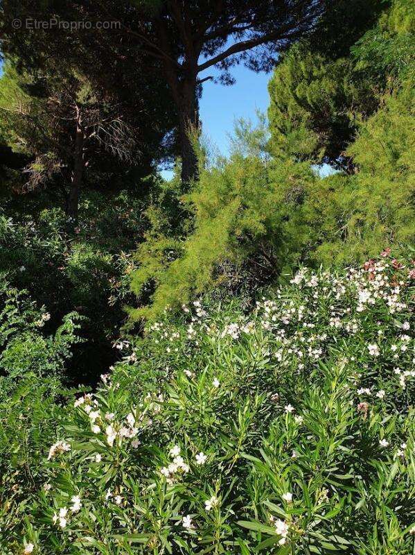 Appartement à LA GRANDE-MOTTE