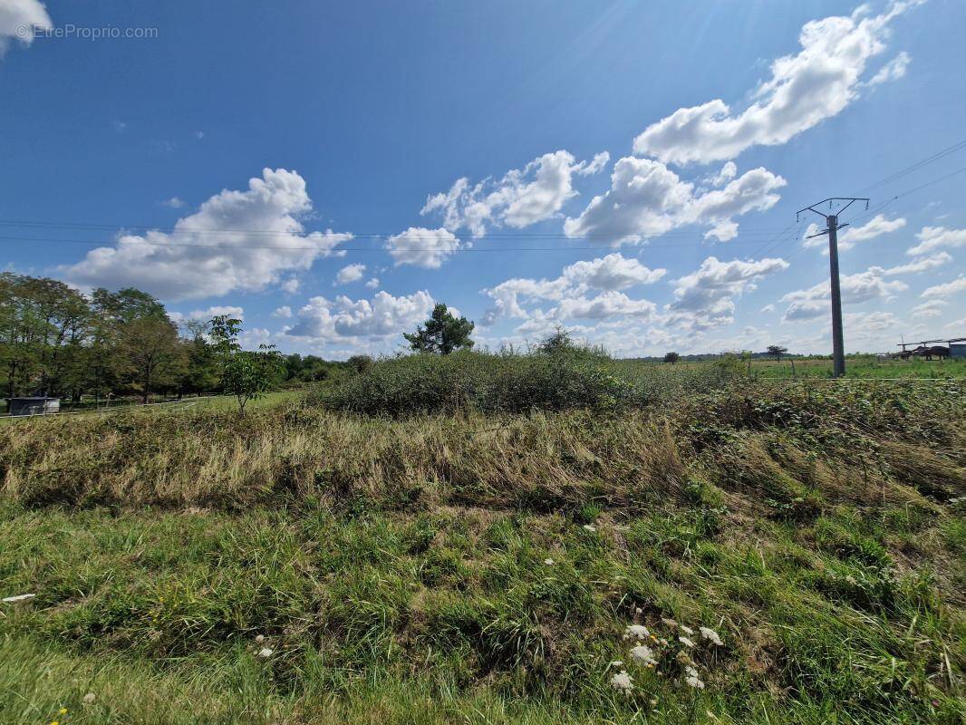 Terrain à CHATILLON-SUR-CHER