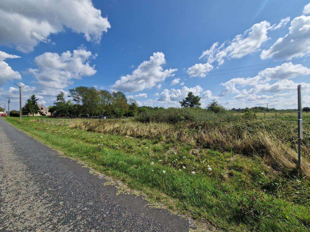Terrain à CHATILLON-SUR-CHER