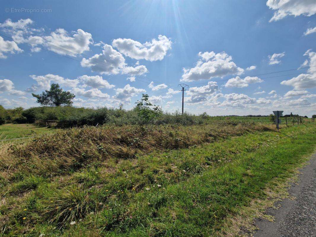 Terrain à CHATILLON-SUR-CHER