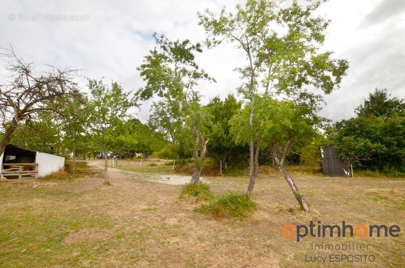 Maison à AVAILLES-LIMOUZINE