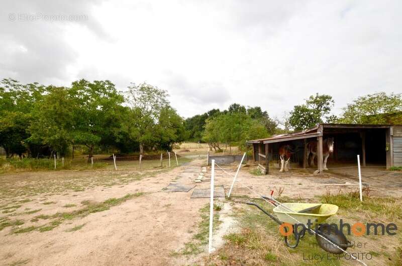 Maison à AVAILLES-LIMOUZINE