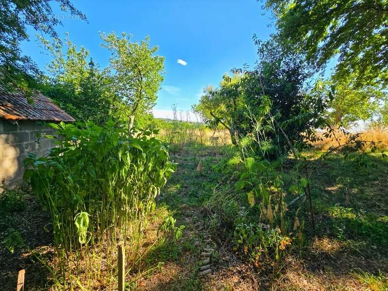 Maison à SAINT-HILAIRE