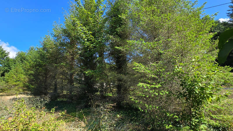 Terrain à ORADOUR-SUR-GLANE
