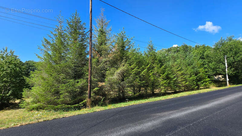 Terrain à ORADOUR-SUR-GLANE