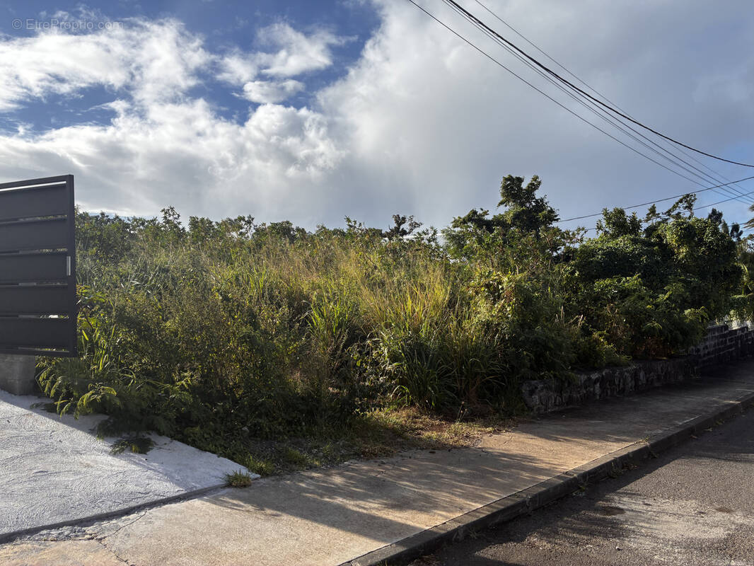 Terrain à SAINT-DENIS