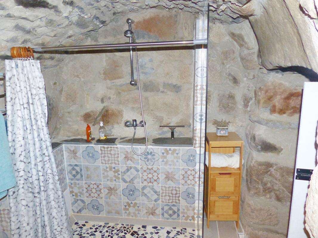 Maison à LE MONASTIER-SUR-GAZEILLE