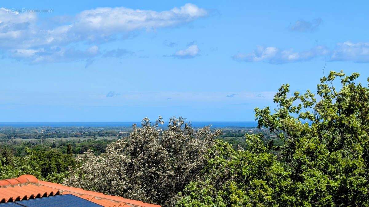 Maison à VILLELONGUE-DELS-MONTS
