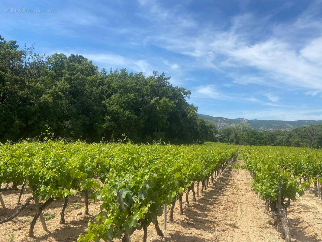 Autre à PLAN-DE-LA-TOUR