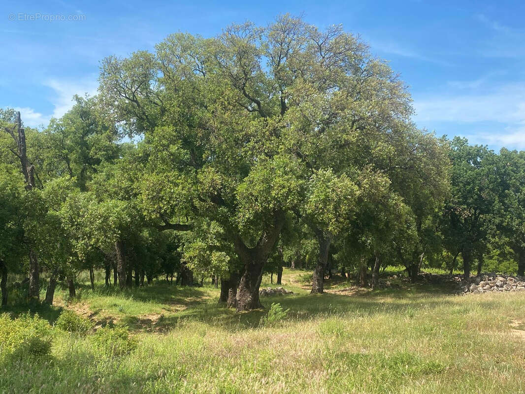 Autre à PLAN-DE-LA-TOUR