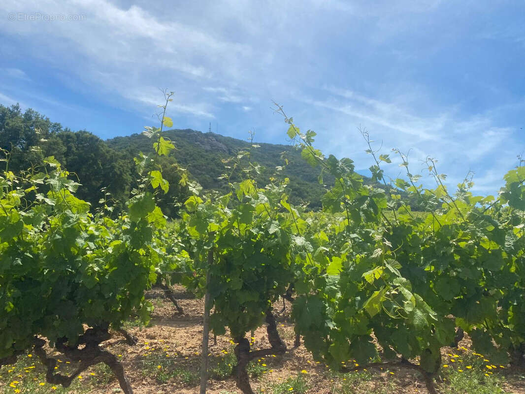 Autre à PLAN-DE-LA-TOUR