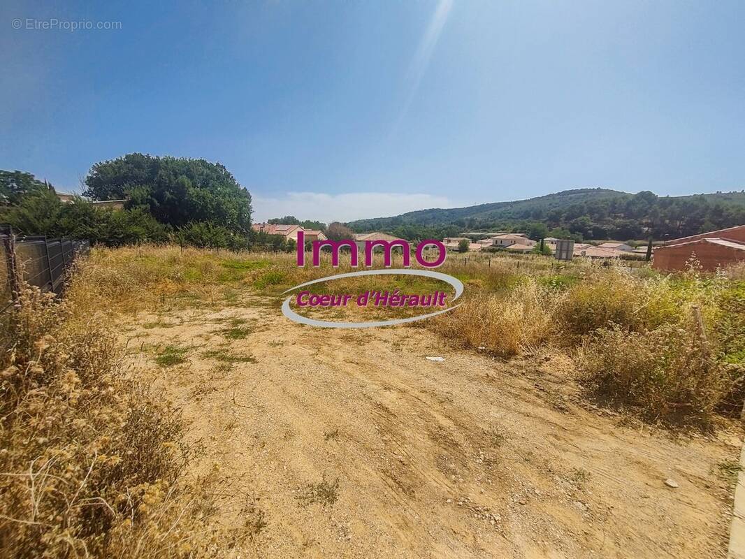 Terrain à CLERMONT-L&#039;HERAULT