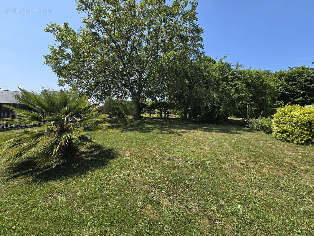 Maison à LA GUERCHE-DE-BRETAGNE