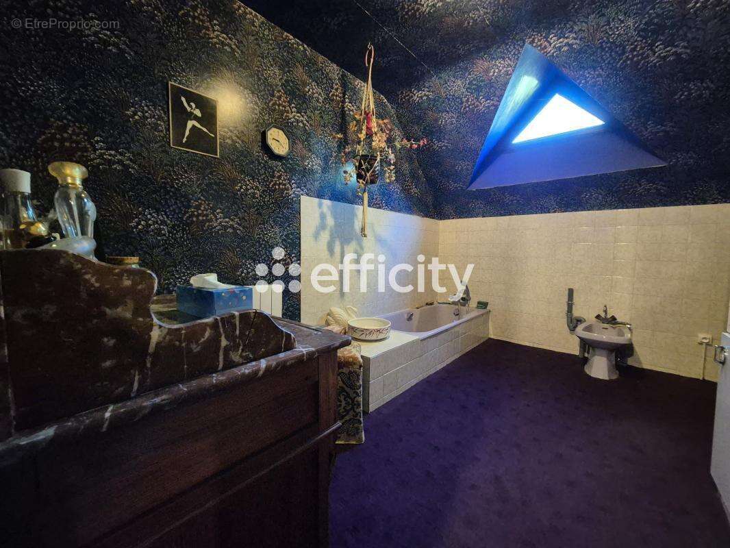 Maison à CHAUMONT-SUR-LOIRE