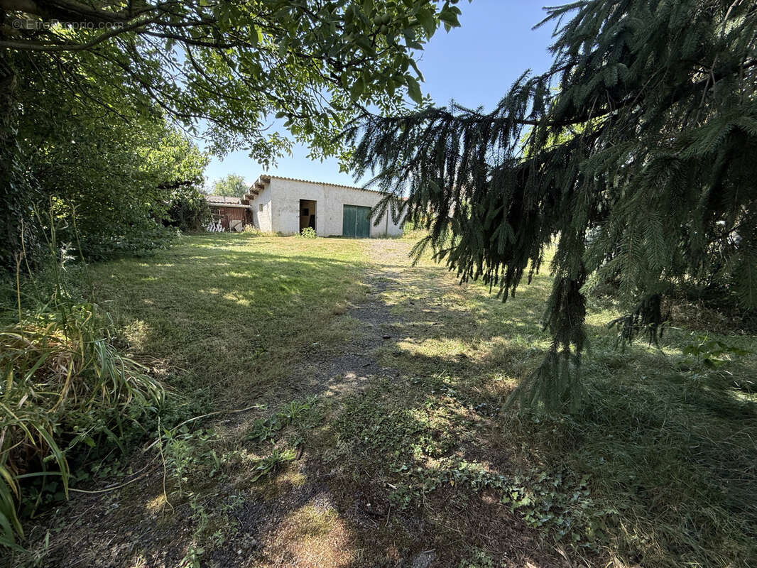 Terrain à PEYZIEUX-SUR-SAONE