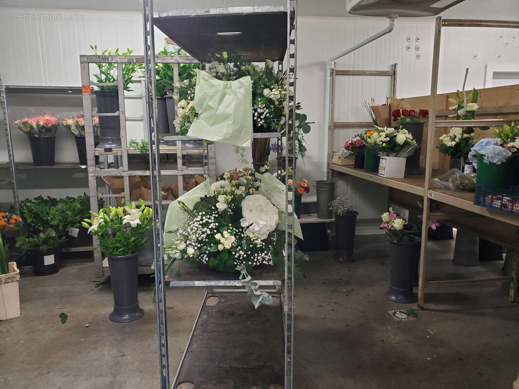 Commerce à LE FRESNE-SUR-LOIRE