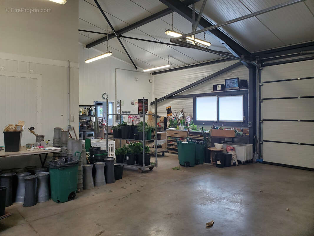 Commerce à LE FRESNE-SUR-LOIRE