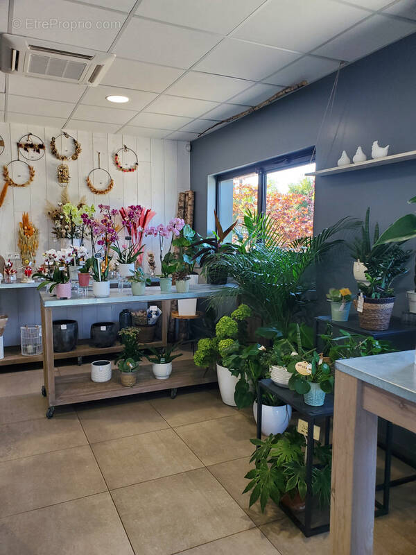 Commerce à LE FRESNE-SUR-LOIRE