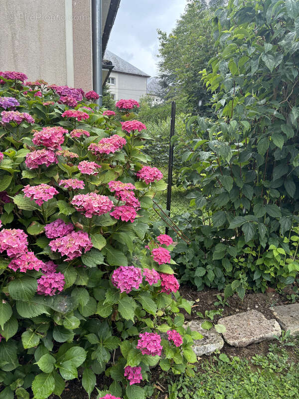 Maison à VIC-SUR-CERE