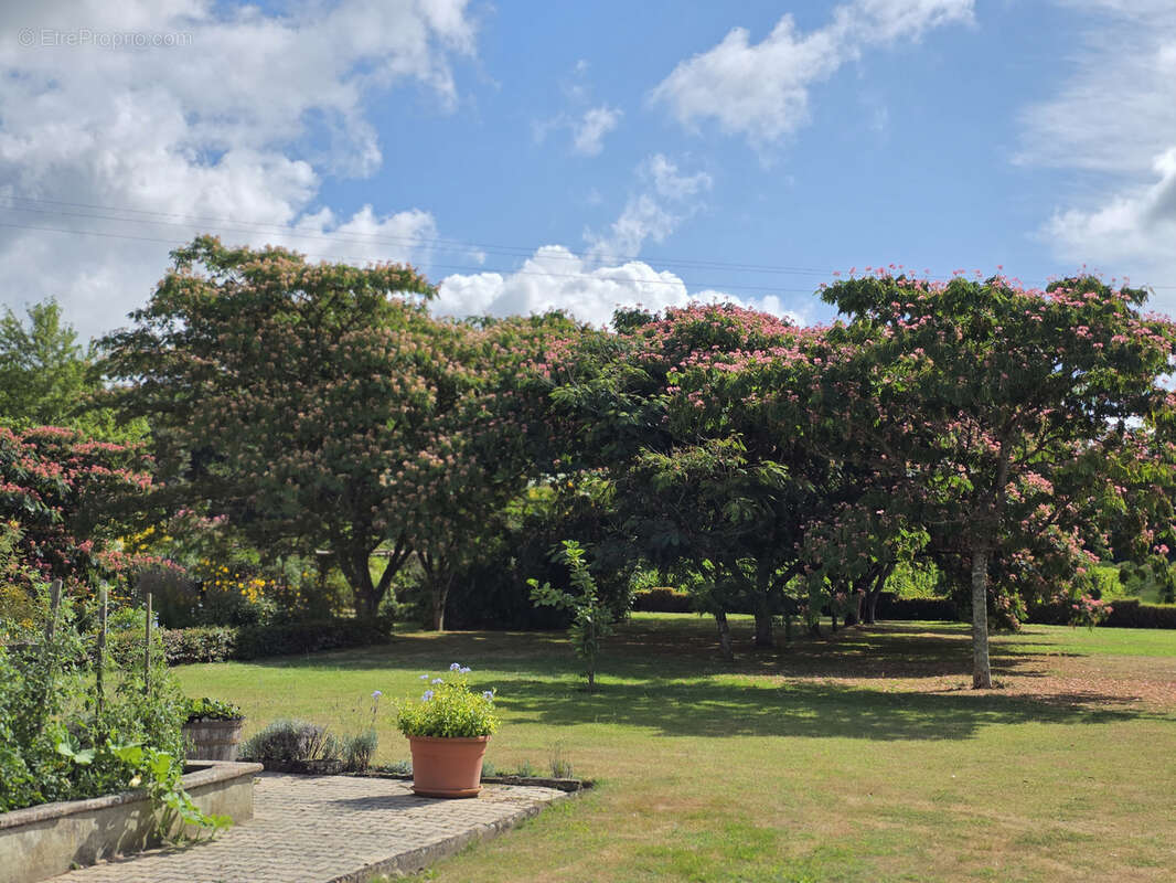 Maison à CREON-D&#039;ARMAGNAC