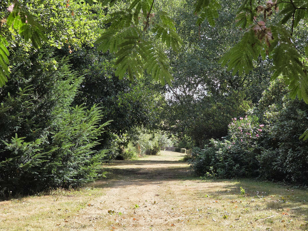 Maison à CREON-D&#039;ARMAGNAC